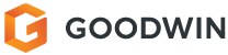 Goodwin Procter L L P 